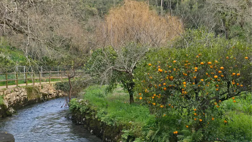 Services tailored for men